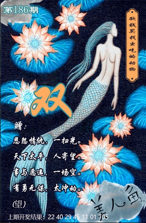 美人鱼单双中特图